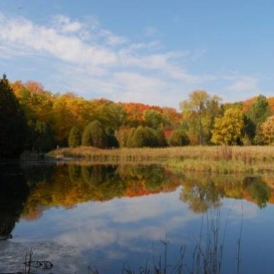 Fall Color