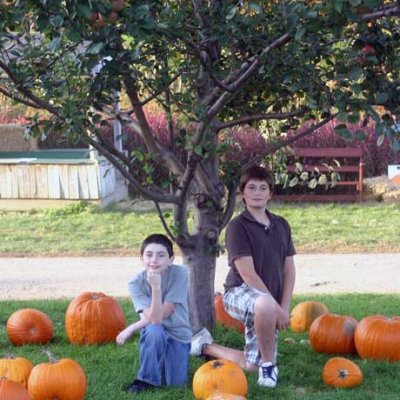 Fall Signs