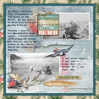 A DAY AT THE BEACH
