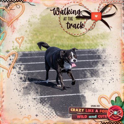 Walking at the Track