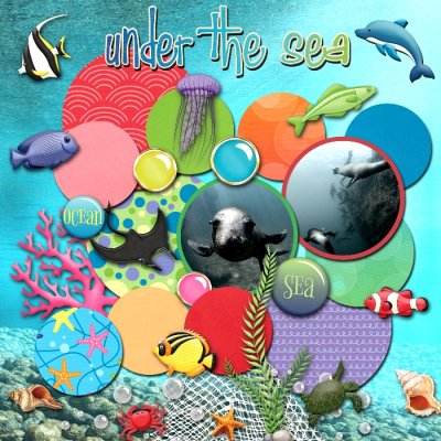 Sea Lion