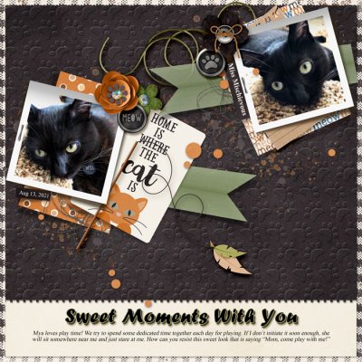 2021 0813 SummerShadowbox