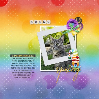 Shadowbox - Aug 15