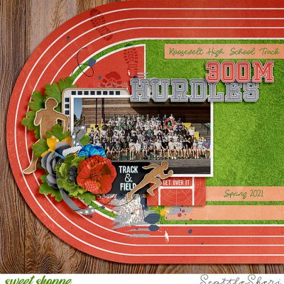 300M Hurdles