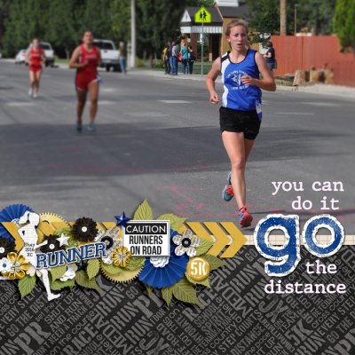 Go the Distance