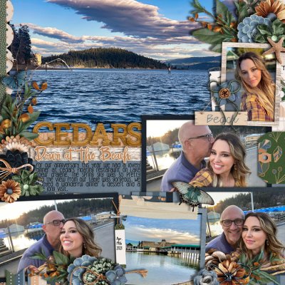 Cedars Down at the Beach