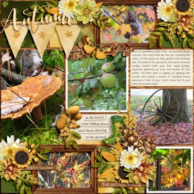 Beauty-fall