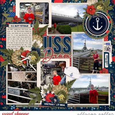 USS Drum
