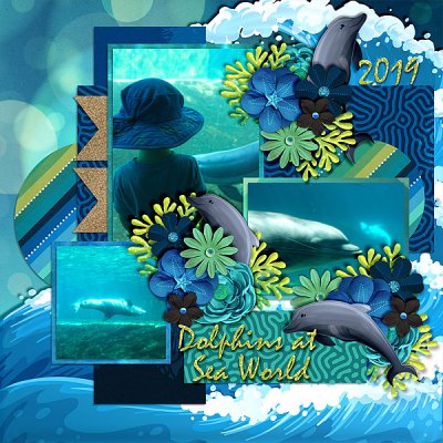 dolphins-sw-519