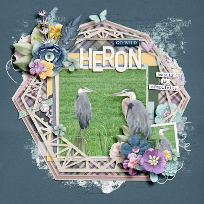 Beauty of the Heron