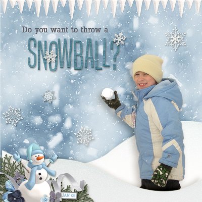 Snowball Fun