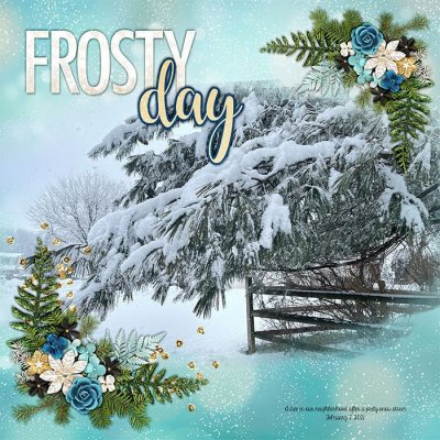 Frosty Day