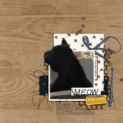 Shadowbox Aug 2021: Aug22 - Extraction - Meow