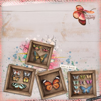 shadowbox 24 - opt. 1