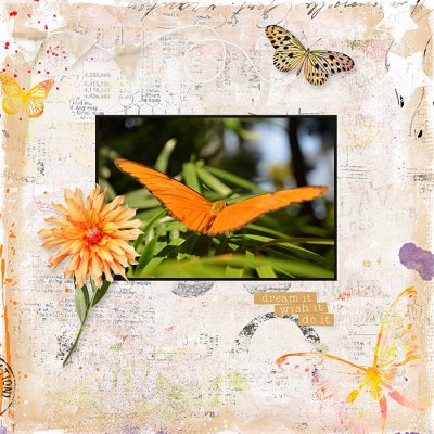 Shadowbox - 24