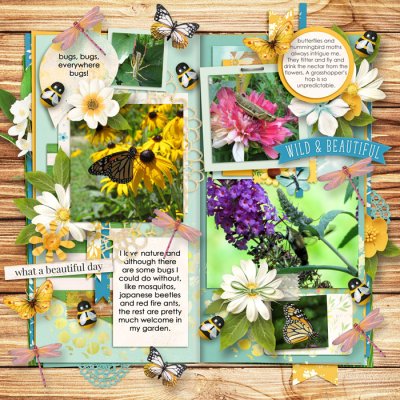 bees and butterflies