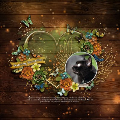 2021 0824 SummerShadowbox