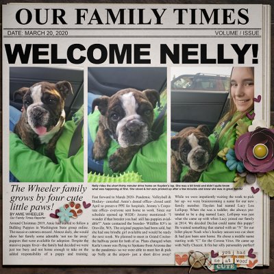 Welcome Nelly!
