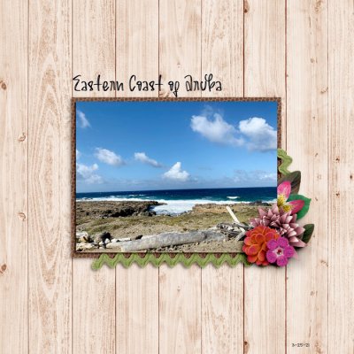 Eastern Coast of Aruba