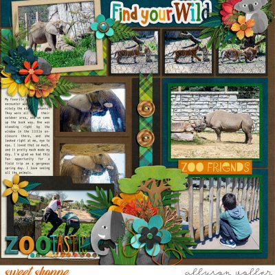 Find Your Wild right