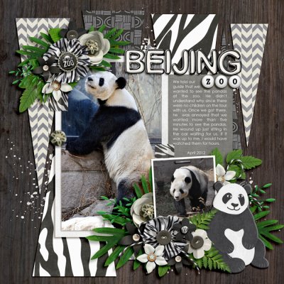 beijing zoo