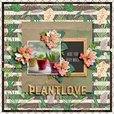 Plant Love