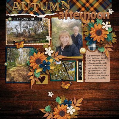 Autumn afternoon