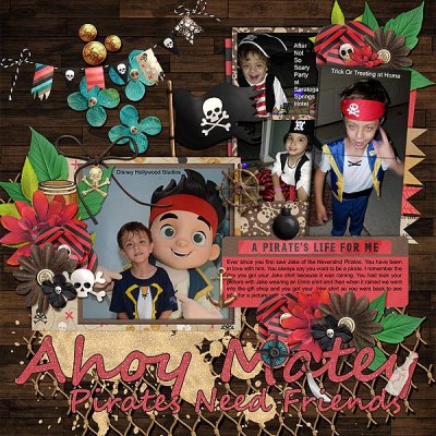 Ahoy Matey Pirates Need Friends