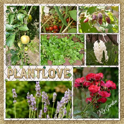 B57_Plantlife3ByFlergs700