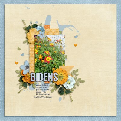 Shadowbox Aug 2021: Aug29 Garden Bidens