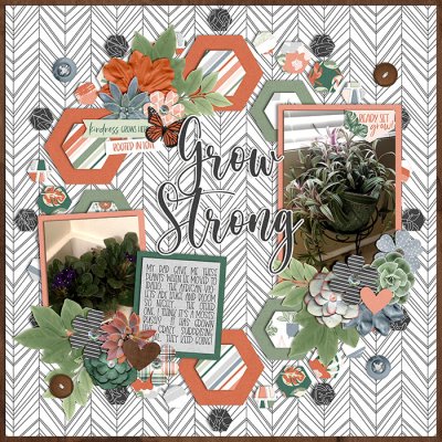 wc_march_plants_small_tracireed