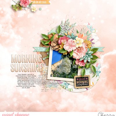 Morning Sunshine