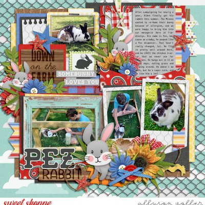 Pez the Rabbit