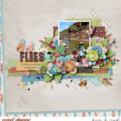 Flies