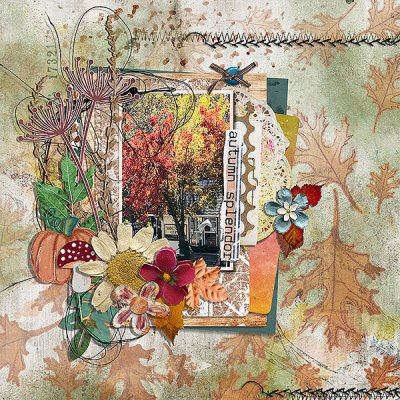 autumn splendor
