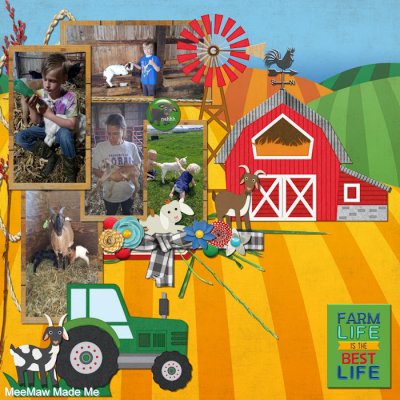 On The Farm