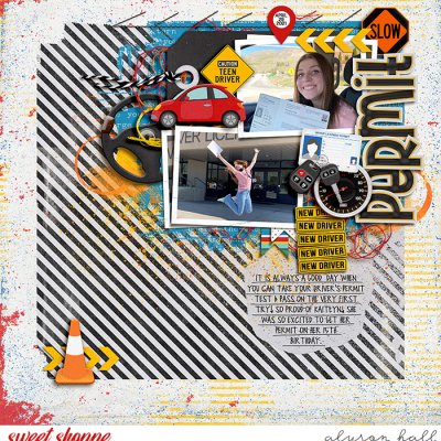 Learners Permit