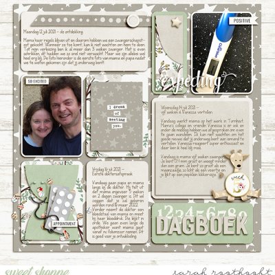Dagboek page 1