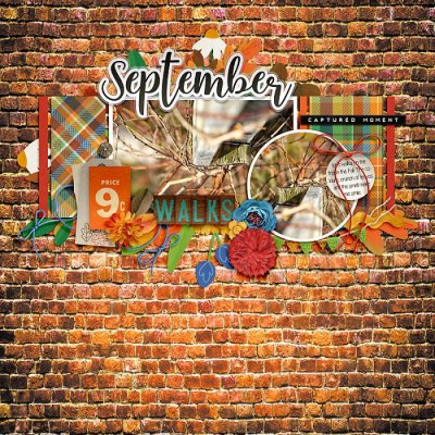 Passport to September 2021 Challenge Photography : Alternate Dimension