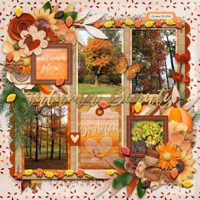 Autumn Beauty