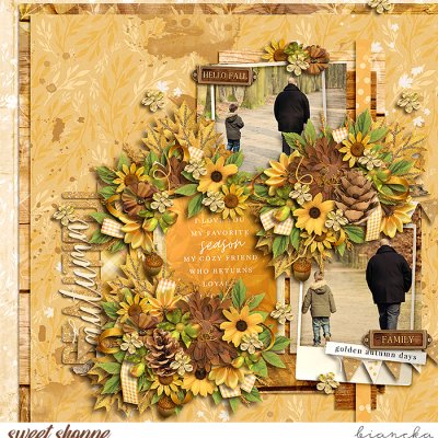 beautiful autumn