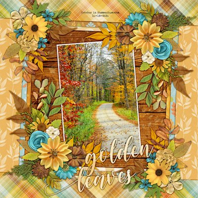 Golden Leaves