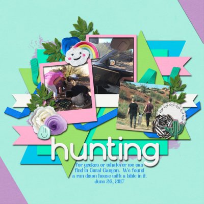 2017-06-26-hunting-lizards