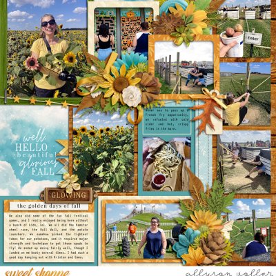 Sunflower Festival right