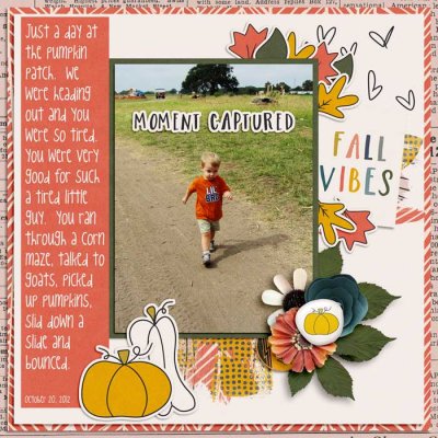 Pumpkin Patch