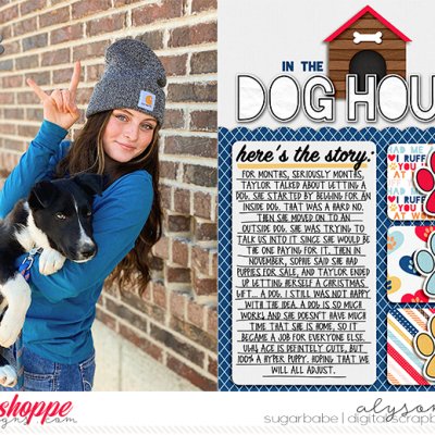 In the Dog House
