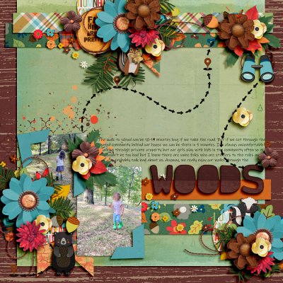woods