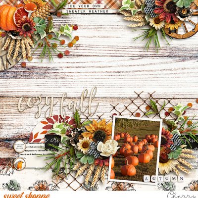 Cozy Fall