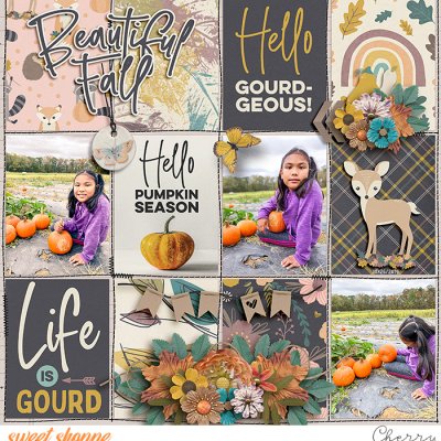 Beautiful Fall