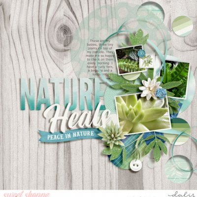 Nature Heals - Monthly Inspiration